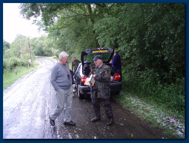 600x449 pixels (167K)